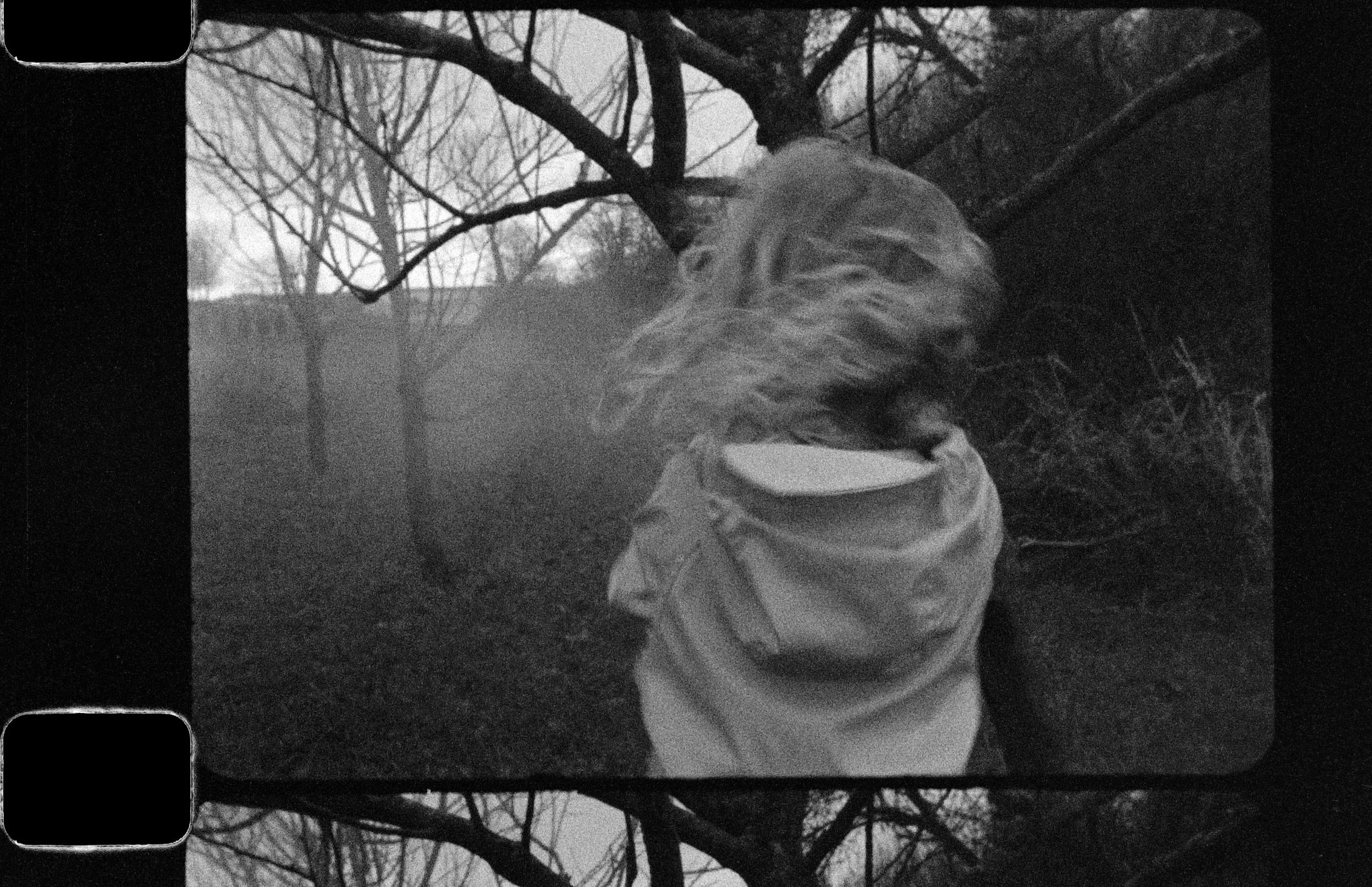 The Seraphim — Jesse Lenz